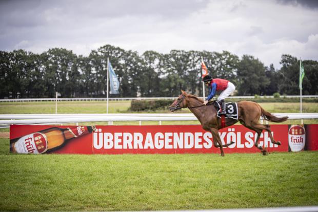 Bild Werden Sie Sponsor